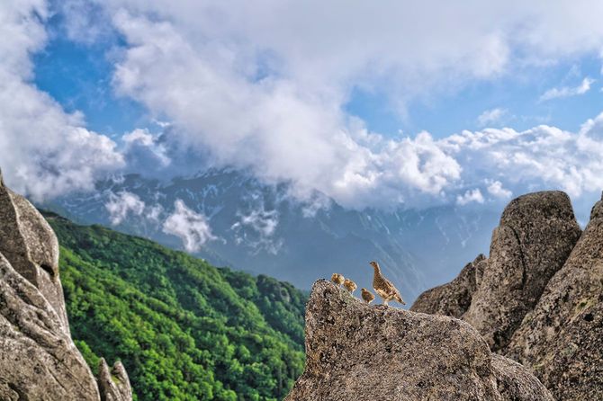 環境大臣賞／環境フォト大賞「成長と試練」菊川雅哉さん