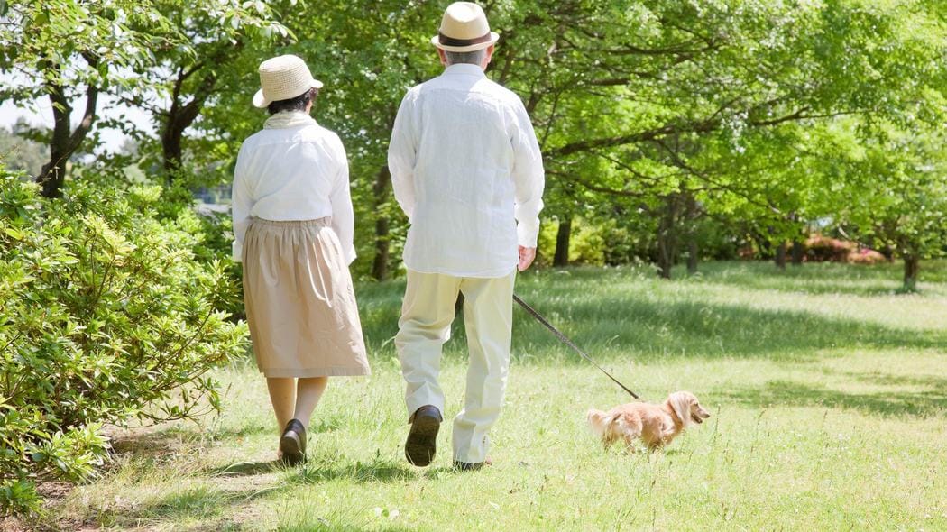 ｢60代でもセックスができる人｣はどこが違うのか…女性医師が教える｢肉体の若さ｣ではない必須条件 ｢男らしさ｣や｢経済力｣も関係ない