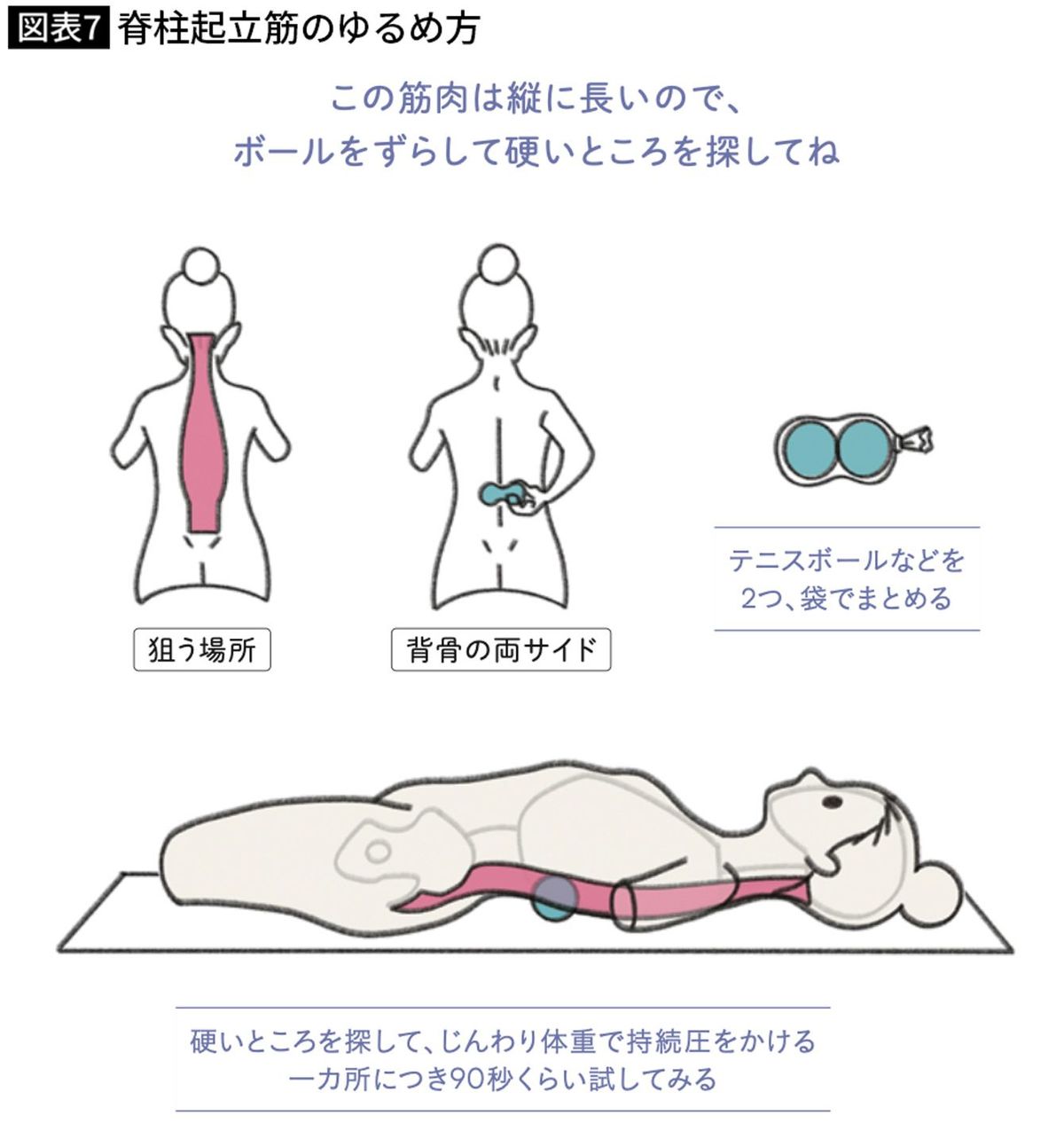 脊柱起立筋のゆるめ方