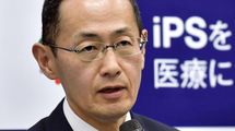 だからiPS細胞は評価され､STAP細胞は｢黒歴史｣になった…一般人も知っておきたい科学界の"常識"