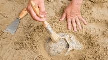 ｢縄文時代は平和だった｣は大間違い…北海道の遺跡で発掘された人骨が露わにした｢縄文人｣の真実