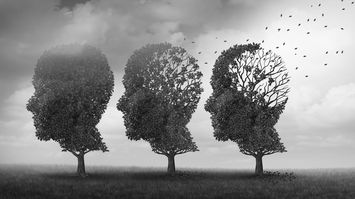 人生の後半50年が強烈に劣化する…脳内科医が｢人生最大の失敗｣と後悔している悪習慣とは