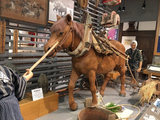南相馬市博物館の展示