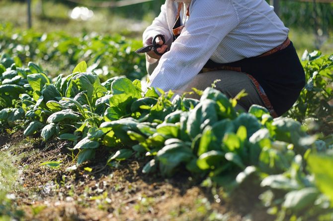 コロナ禍で取り組んだ「一人社会実験」