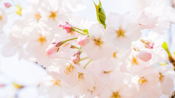 ※写真はイメージです（写真＝iStock.com／taka4332）