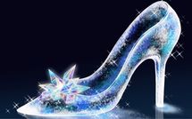 ｢年収3000万60歳バツ2医師｣と｢年収450万40代バツ0会社員｣で迷う40歳ぽっちゃり女性にどちらを勧めた？