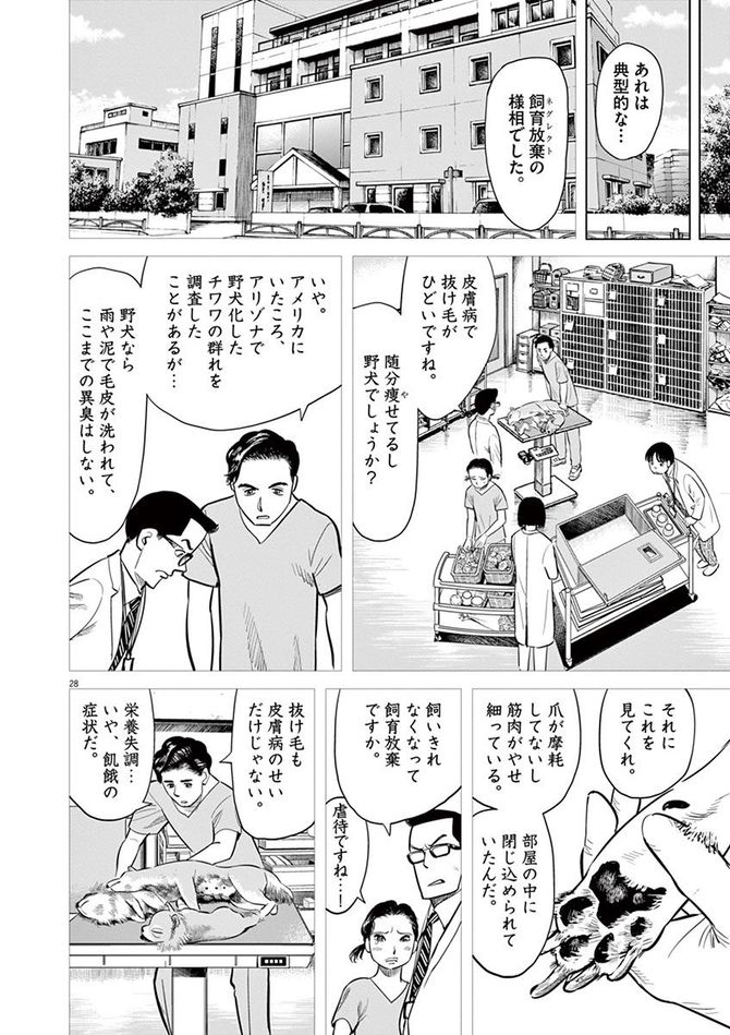 『しっぽの声』c夏緑・ちくやまきよし／小学館