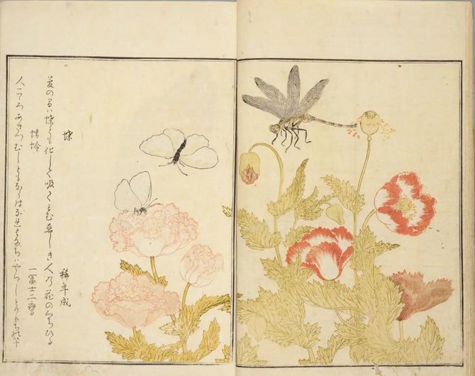 喜多川歌麿 筆 , 宿屋飯盛 撰『画本虫ゑらみ』,耕書堂蔦屋重三郎,天明8 [1788]. 国立国会図書館デジタルコレクション（参照：2025年9月10日）