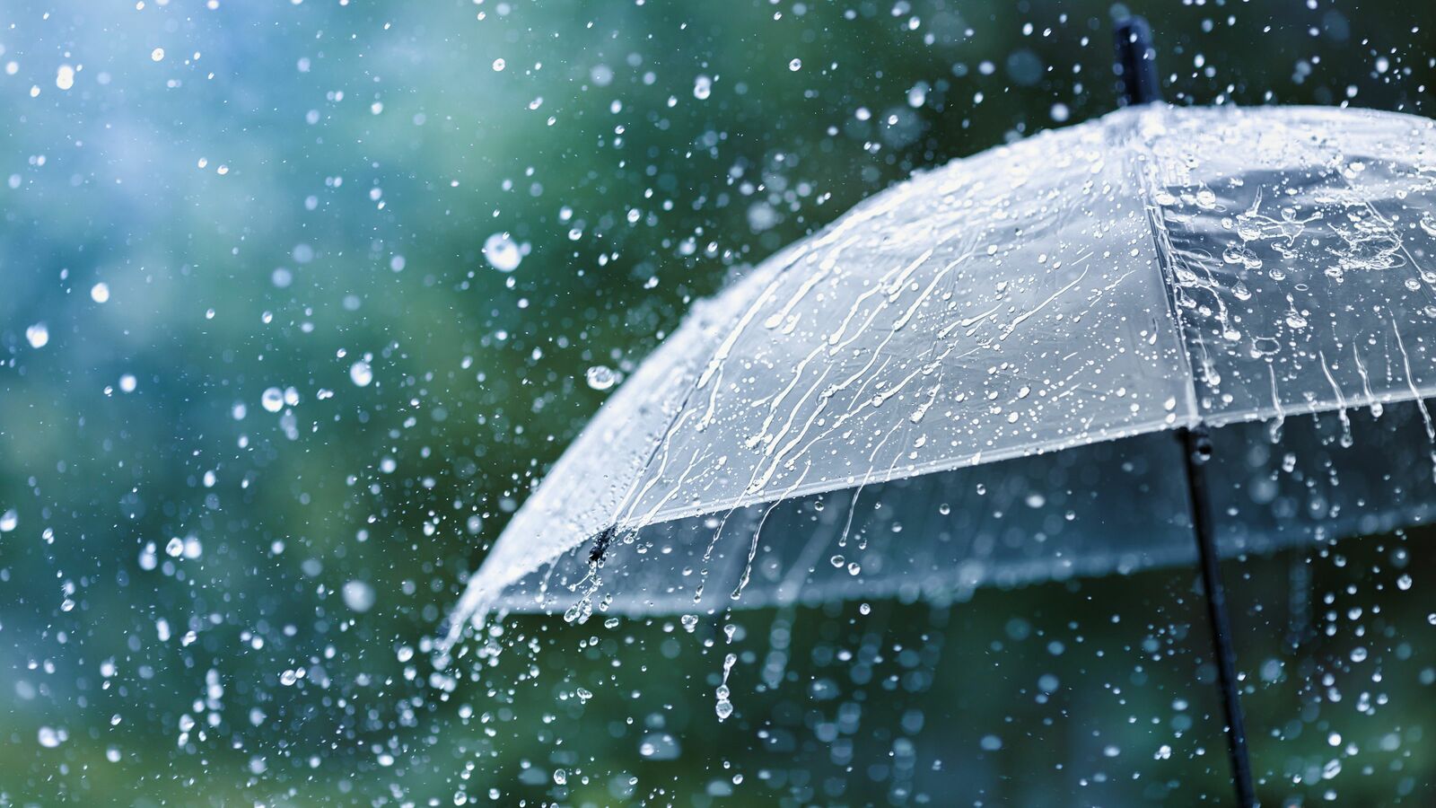 雨が降って｢嫌だな｣と思うのは修行が足りない…禅僧が教える毎日が好日となる"たった一つの考え方" "赤ん坊の心"で生きてみると､感謝の気持ちが湧き出てくる