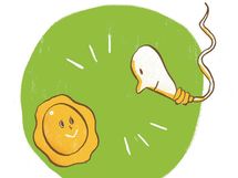 「不妊治療」ってどんなもの？