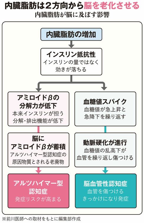 【図表】内臓脂肪は2方向から脳を老化させる
