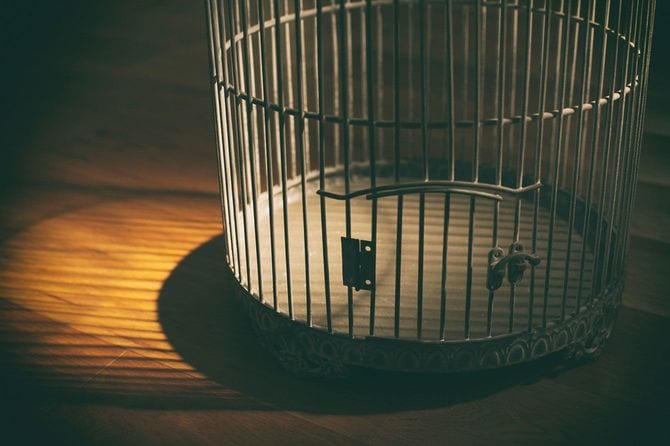 鳥かご