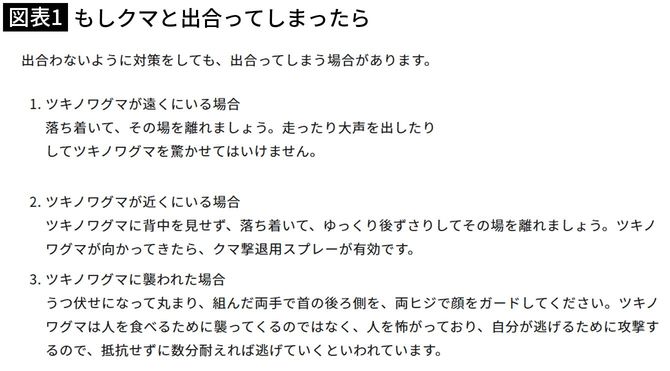【図表1】もしクマと出合ってしまったら