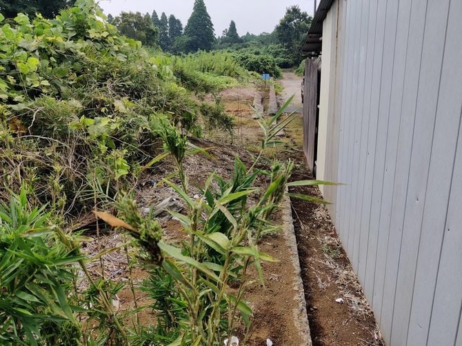 前面道路に小屋が建てられ占有されているため、利用困難となった区画。