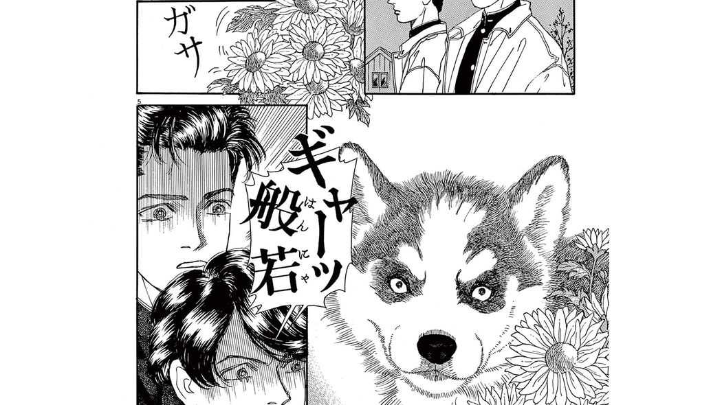 般若顔の小犬と出会い､高校3年生ハムテルの人生は大きく変わった――『新装版 動物のお医者さん』第1集 第1話 ｢コミック『新装版 動物のお医者さん』｣