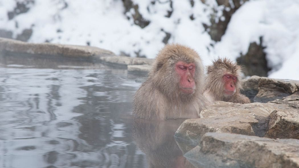 血液がドロドロになり､血管が詰まって突然死…高齢者が絶対に｢うたた寝｣してはいけない自宅の場所2選 暖かくて気持ちのいい場所が｢凶器｣に変わる
