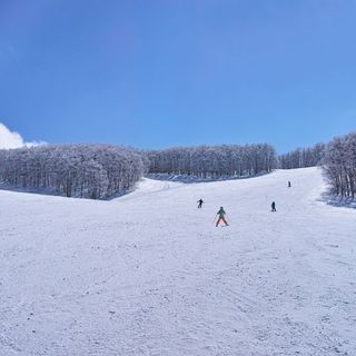 客数は7割減も 8割は営業中 いつもガラガラなスキー場はなぜ潰れないのか これから始まる 大淘汰 の中身 President Online プレジデントオンライン