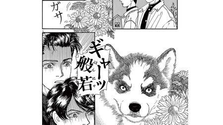 般若顔の小犬と出会い､高校3年生ハムテルの人生は大きく変わった