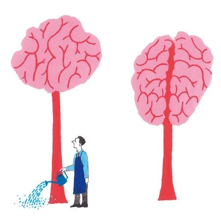 脳の木のイラスト