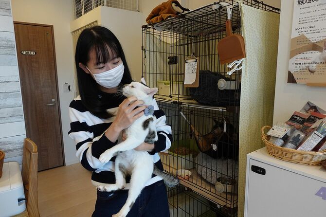 奄美大島のノネコ管理計画で捕獲された猫「まめぼっくり」とボランティアの大学生