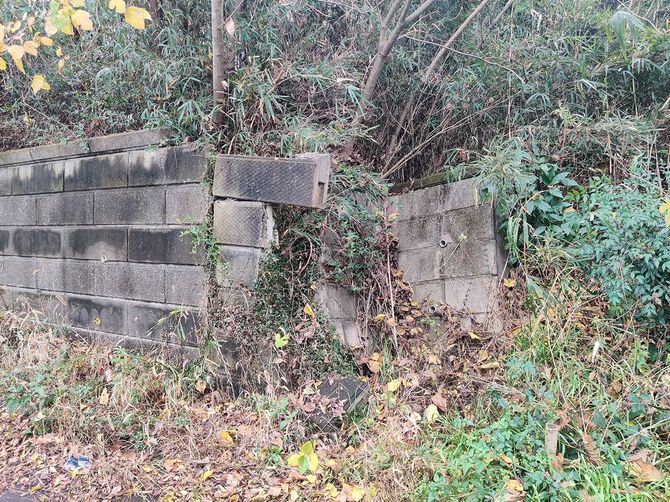 土地の放置は、擁壁の破壊を引き起こすこともある。(千葉県山武市雨坪)