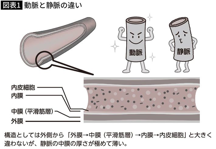 出典＝『<a href="http://www.amazon.co.jp/exec/obidos/ASIN/4833426099/presidentjp-22" target="_blank">血管細胞を強くすれば熱中症は予防できる 熱中症やヒートショックに強い身体に変える3つの成分</a>』（プレジデント社）