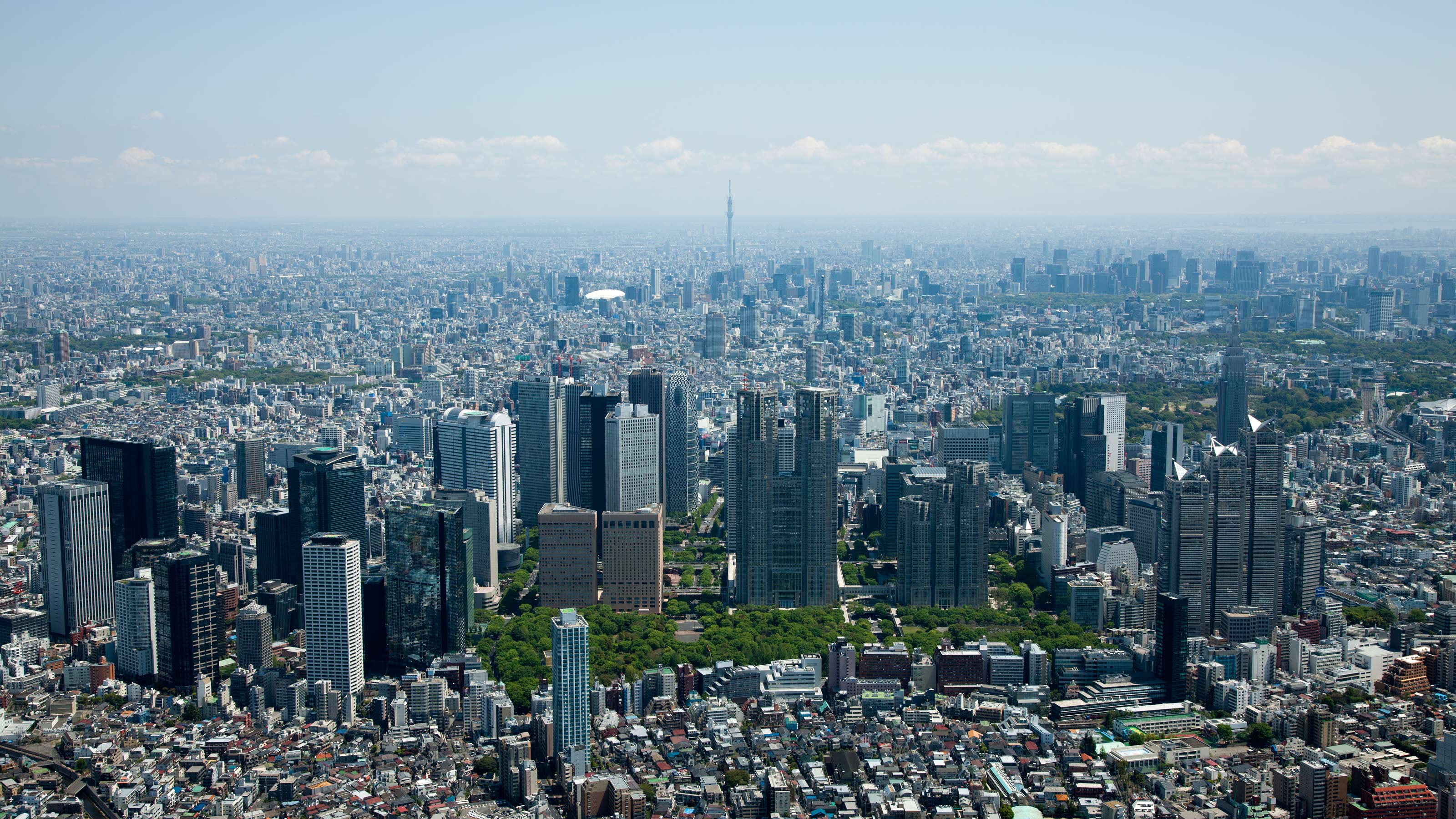 震災直後の 東京から避難すべきか という質問に 人気物理学者が沈黙を貫いたワケ 科学者 がやるべき仕事とは何か President Online プレジデントオンライン