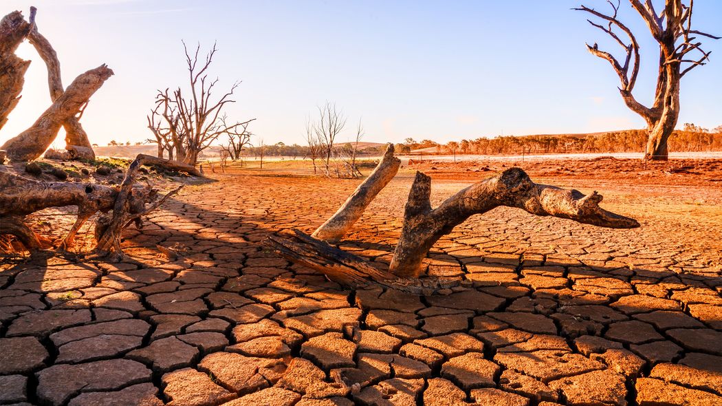 ｢cakesは叩かれて当然｣と思う人が､ネットを"死んだ土地"に変えている ｢書くリスク｣ばかりが高まっている
