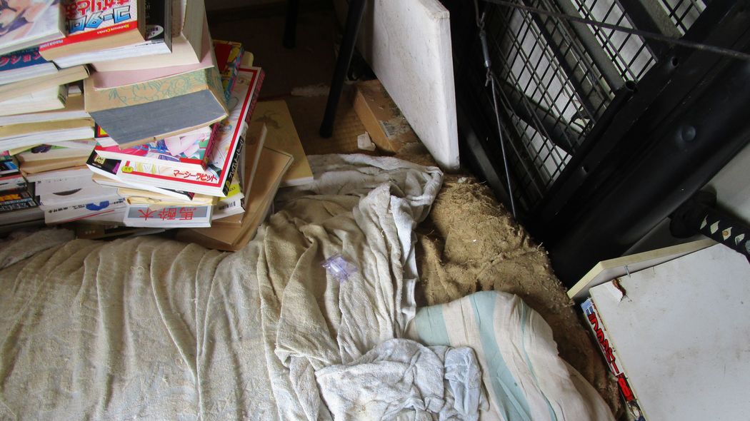 ｢視力を失ったのにマンガ1万冊を捨てられない｣大家に退去を命じられた40代男性のその後 父親は｢1000万円は送金した｣と…