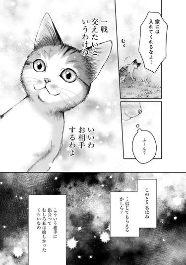 あざとくて何が悪いの…子猫は自分を家に入れない男の罪悪感を利用した