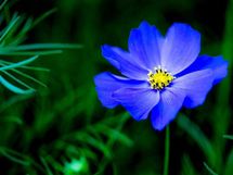 仕事が山積みでもテンパらない！ しなやかな心になる秘訣