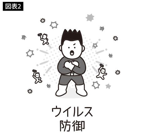 ウイルス防御