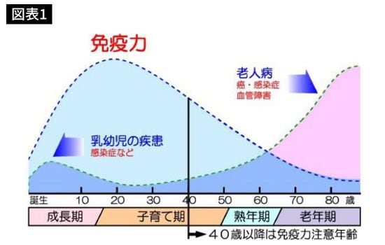 資料提供=廣川勝昱先生