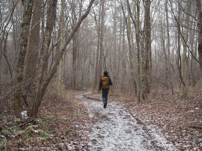 動物言語学の創設に向けて鈴木さんの挑戦は続く