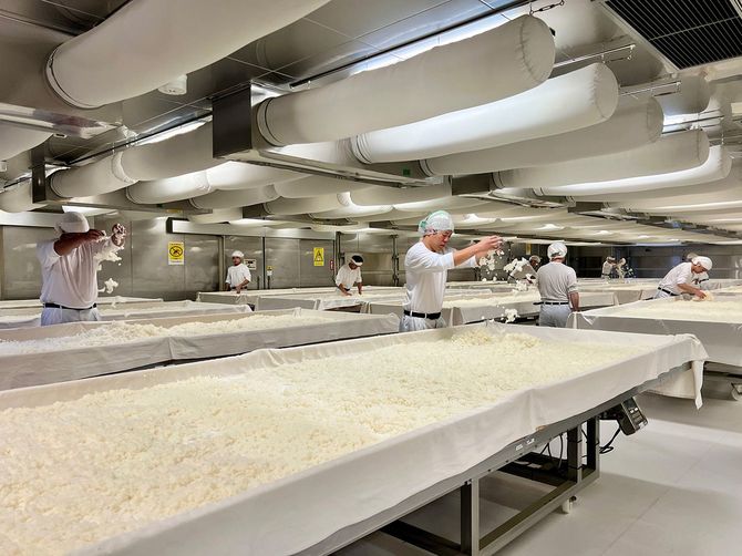 麴室では、職人たちが手作業で麴米をつくる。