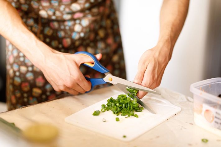 ※写真はイメージです