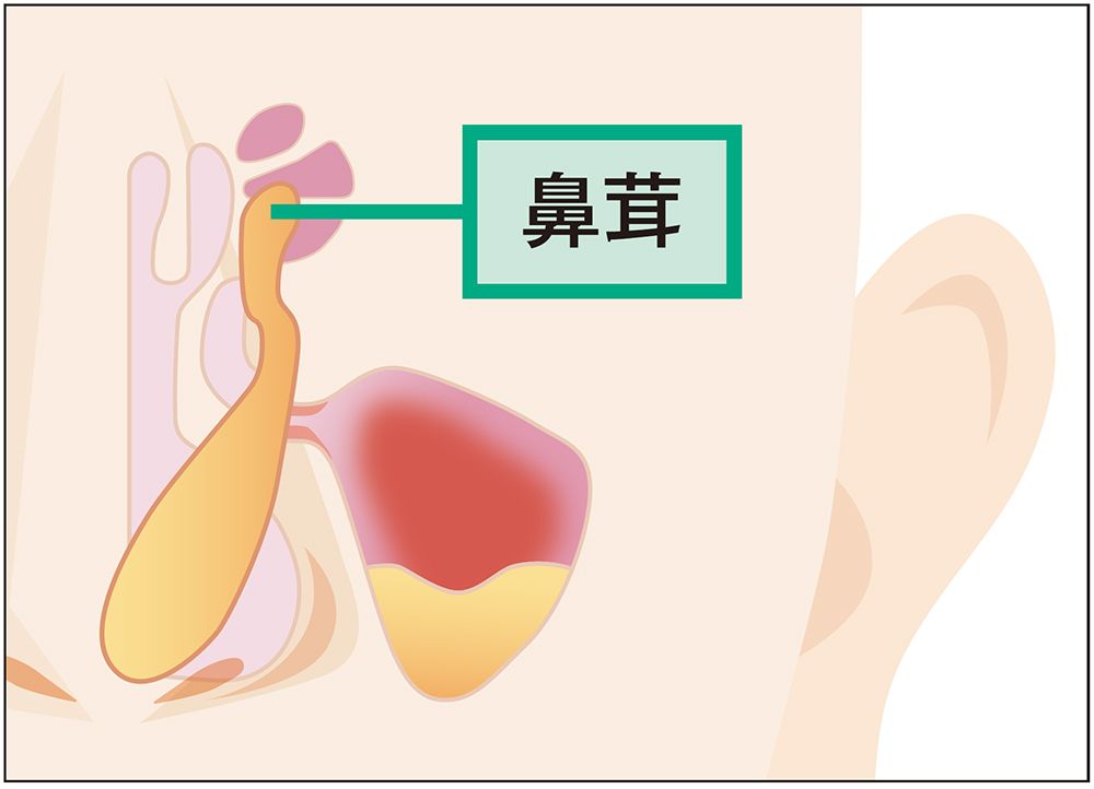 一年中悩む