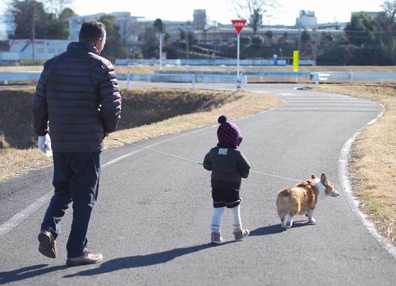 親も子も嬉しい4年間限定の「非課税」贈与