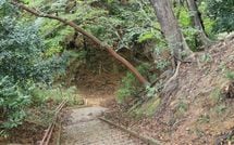 豊臣兄弟が命がけで籠城戦を…信長軍｢最大のピンチ｣の舞台となった山城は､500年後の今どうなっているのか?