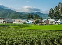 "実家"は2022年までに売らないとヤバい