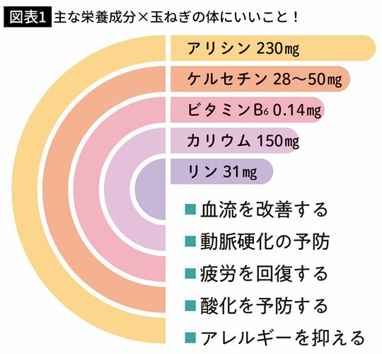 【図表1】主な栄養成分×玉ねぎの体にいいこと！