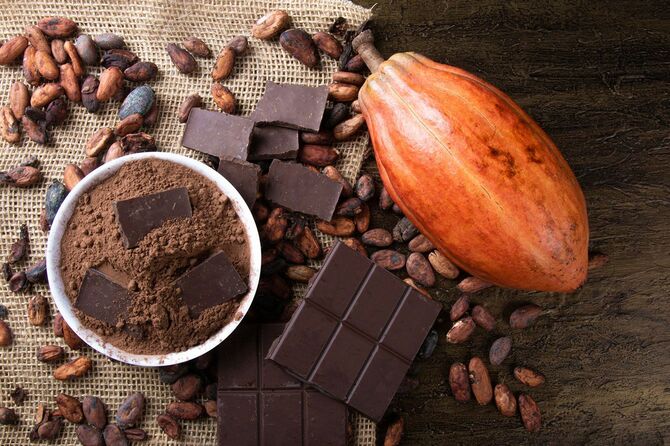 生のカカオ豆とココアパウダーとチョコレート
