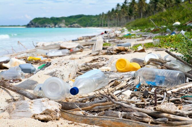 ペットボトルなどのゴミが散乱する海岸
