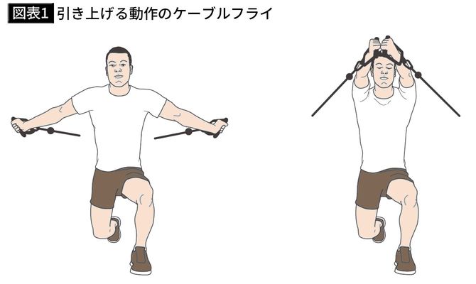 【図表1】引き上げる動作のケーブルフライ