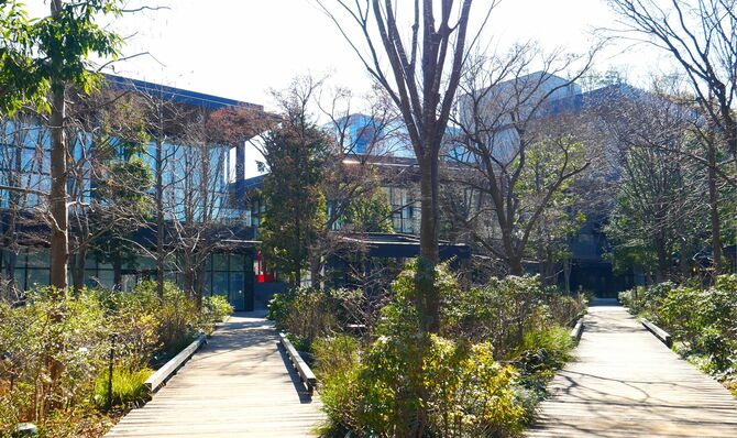 広場内には歩きやすい幅広の通路が設けられている