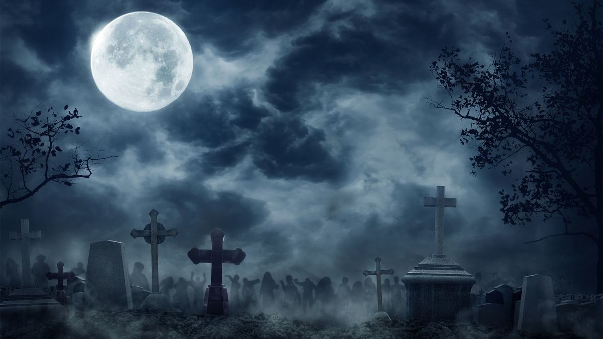 基礎的な会話ができない 28歳の私が結婚相談所で出会った男性に持った強烈な違和感 1日に3 4人 婚活したけれど 2ページ目 President Online プレジデントオンライン