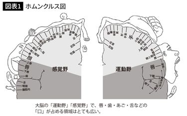 歯のない人ほど認知症リスクが高い…認知症専門医が｢歯のケア｣の