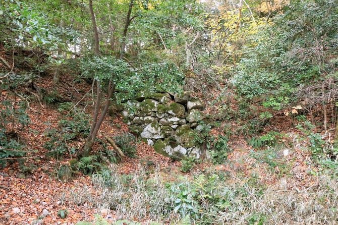 大石段下から少し南の登山道より
