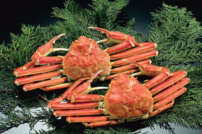 人気の高級食材