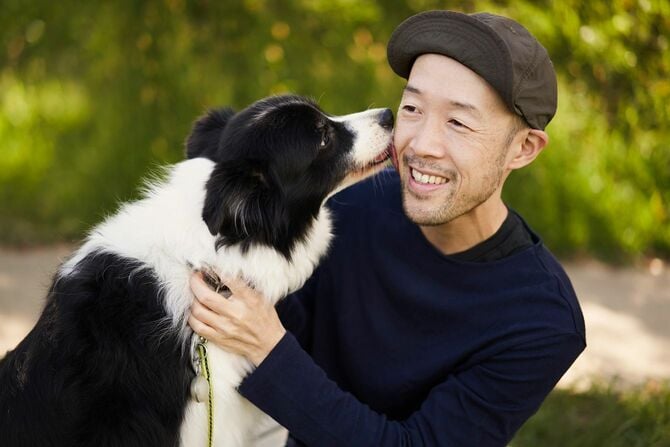 屋外で触れ合う飼い主とボーダーコリー